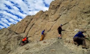 Поиск и добыча полезных ископаемых