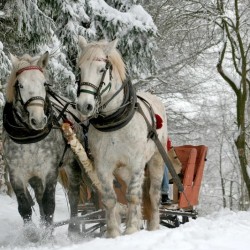 Диктанты на тему "Зима" для 4 класса