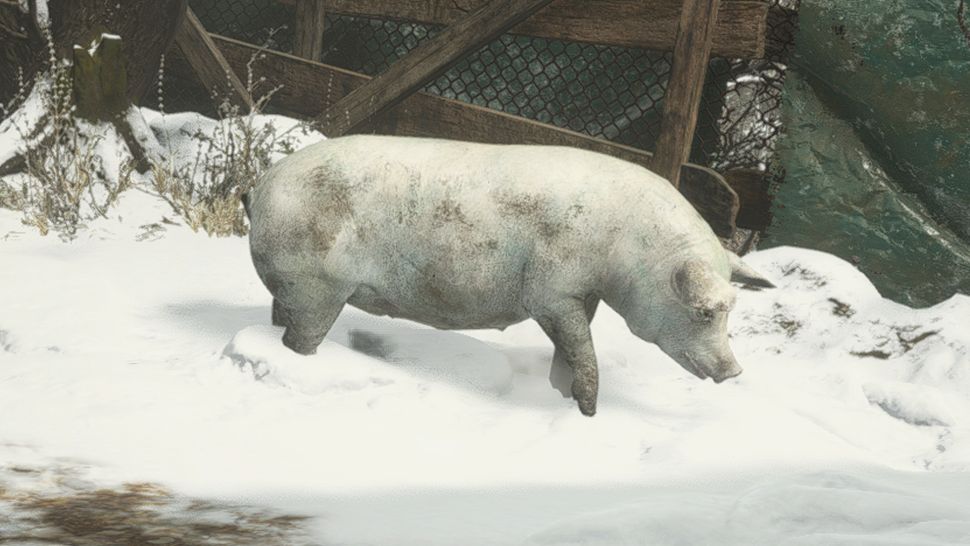 Как охотиться на животных в Resident Evil Village