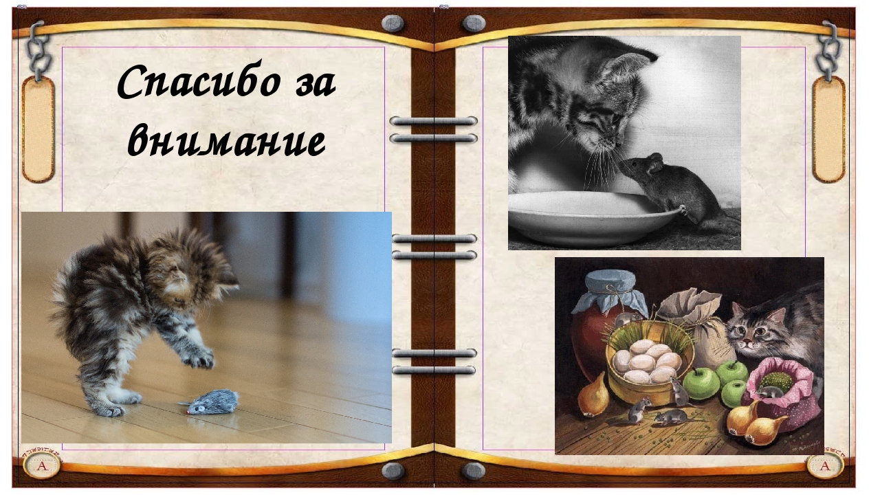 Спасибо за внимание 