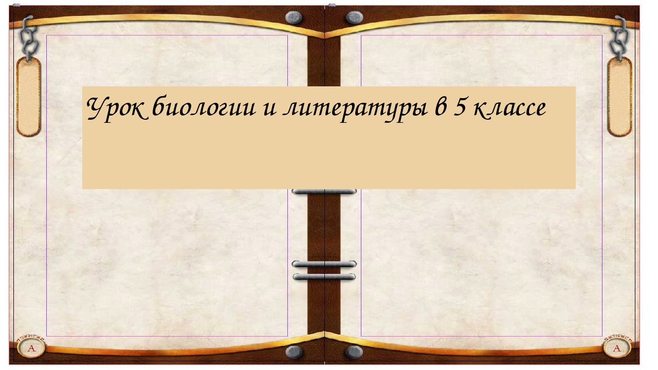 Урок биологии и литературы в 5 классе 