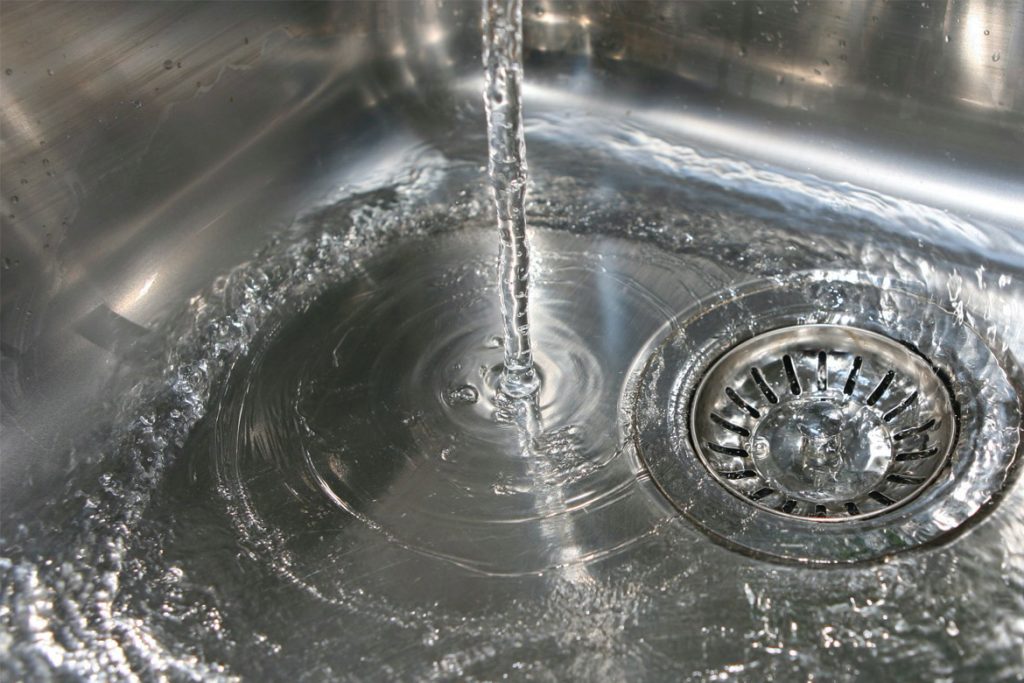 Кот съел таракана сток