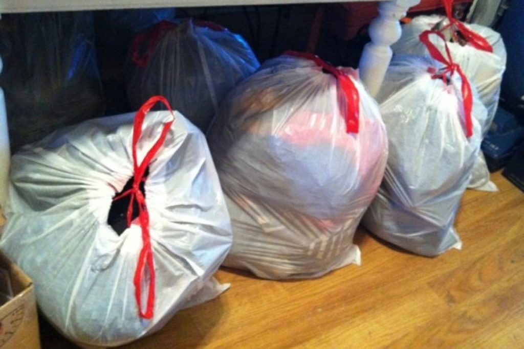 Кот съел таракана вещи