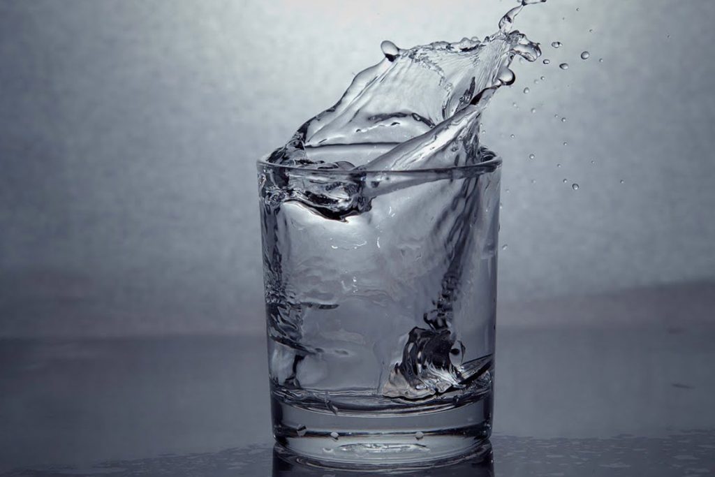 Кот съел таракана вода