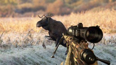 Выстрел в лося