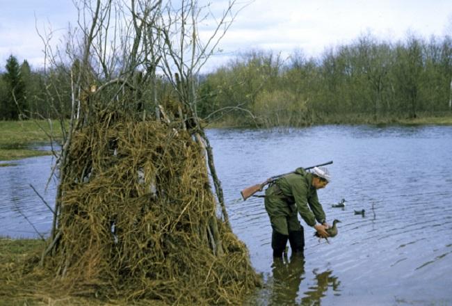 Выставка чучел у скрадка