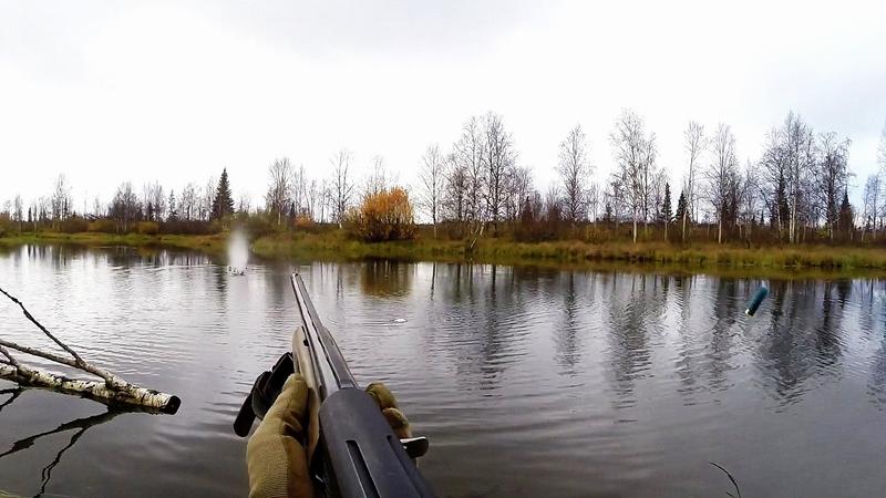 Стрельба по утке с подхода