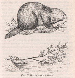 Прицельные схемы выстрелов в бобра
