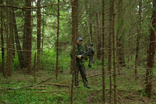 охотники подходят к лежкам