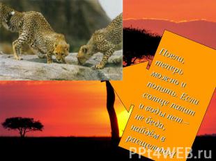 Поели, теперь можно и попить. Если солнце палит и воды нет – не беда, найдём в р