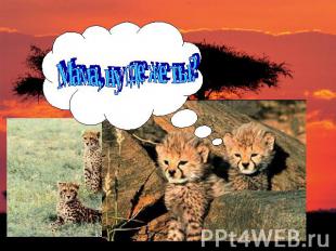 Мама, ну где же ты?