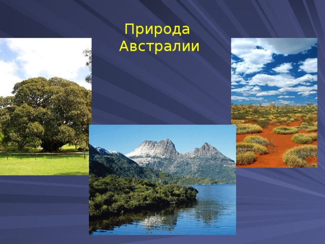 Природа Австралии 