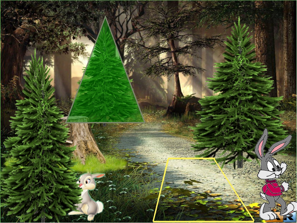 В А D С Домой Вопросы: Элементами, какой фигуры являются отрезки АВ и AD? Ес. 