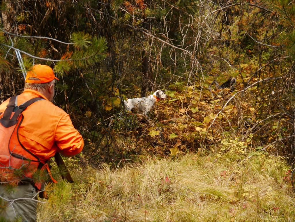 Воображение во время охоты. Воображение во время охоты. Открытие сезона охоты. Диктант воображение во время охоты работает подчеркнуть. Евгений тихменев.