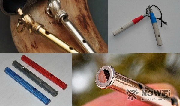 повадки рябчиков