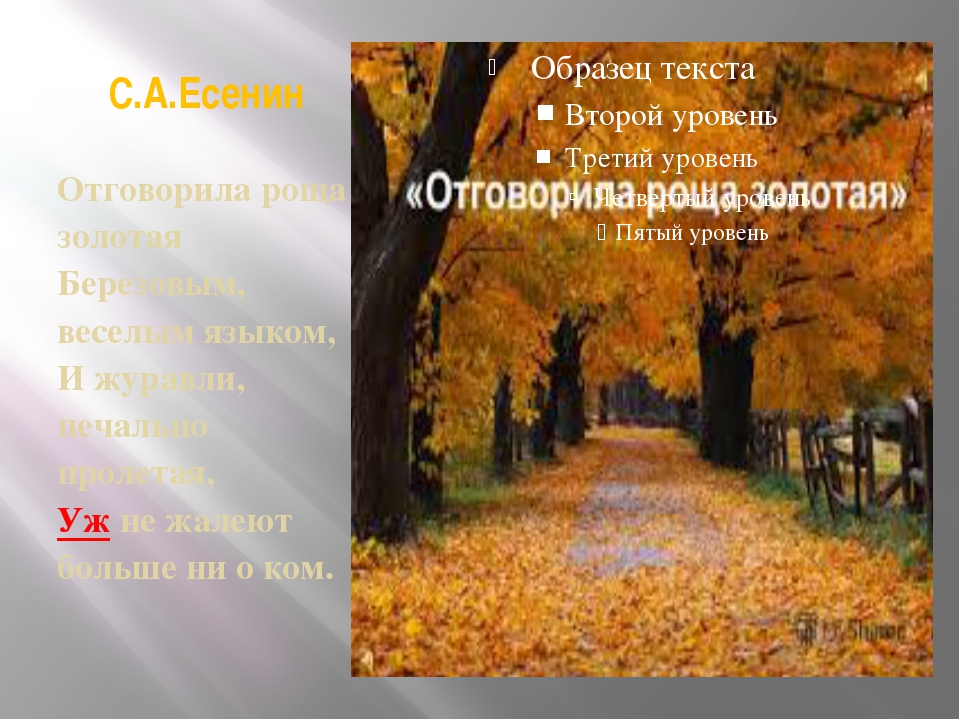 С.А.Есенин Отговорила роща золотая Березовым, веселым языком, И журавли, печа. 