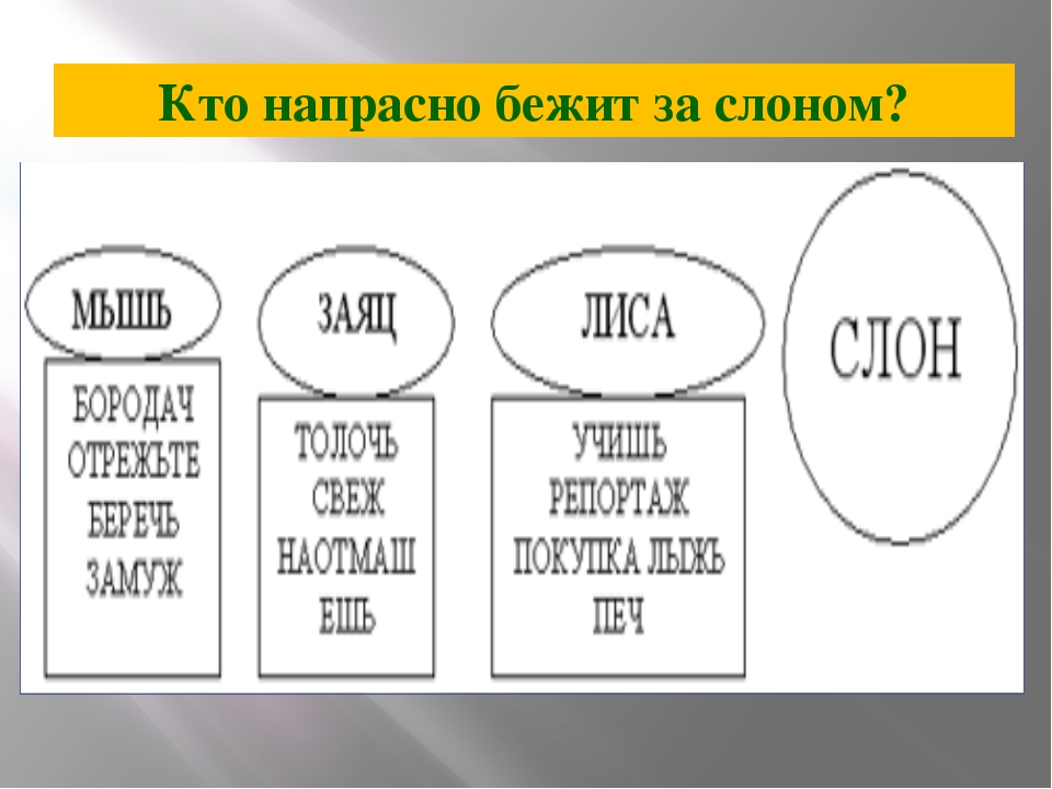 Кто напрасно бежит за слоном? Кто напрасно бежит за слоном? 