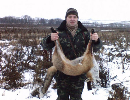 Охота на лису - Охота, рыбалка, отдых, туризм, банк, благотворительность 626-22-06