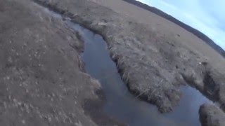 Охота на бобра с ружьем, с подхода весной 2016 год.(весенняя охота на бобра с подхода, хотя по началу сижу в засидке, а когда темнеет хожу вдоль берега и очень. 2016-03-21T07:50:24.000Z)