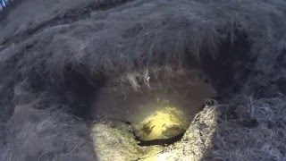 охота на бобра, сложно выбрать кого стрелять. (Моя группа в ОК - https://ok.ru/prookhotni Моя Группа в ВК - https://vk.com/club127755704 Моя группа в Файсбук . 2016-04-03T15:28:22.000Z)