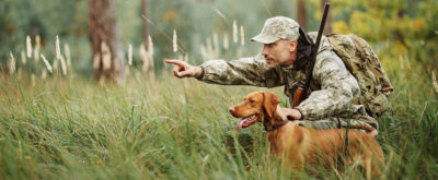 sobaka ohotnik e1549571669728