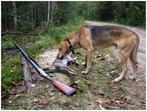 9d64a555389bc15afd769e59b8642b2e